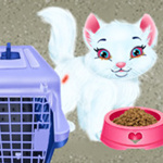 Baby Taylor Pet Care